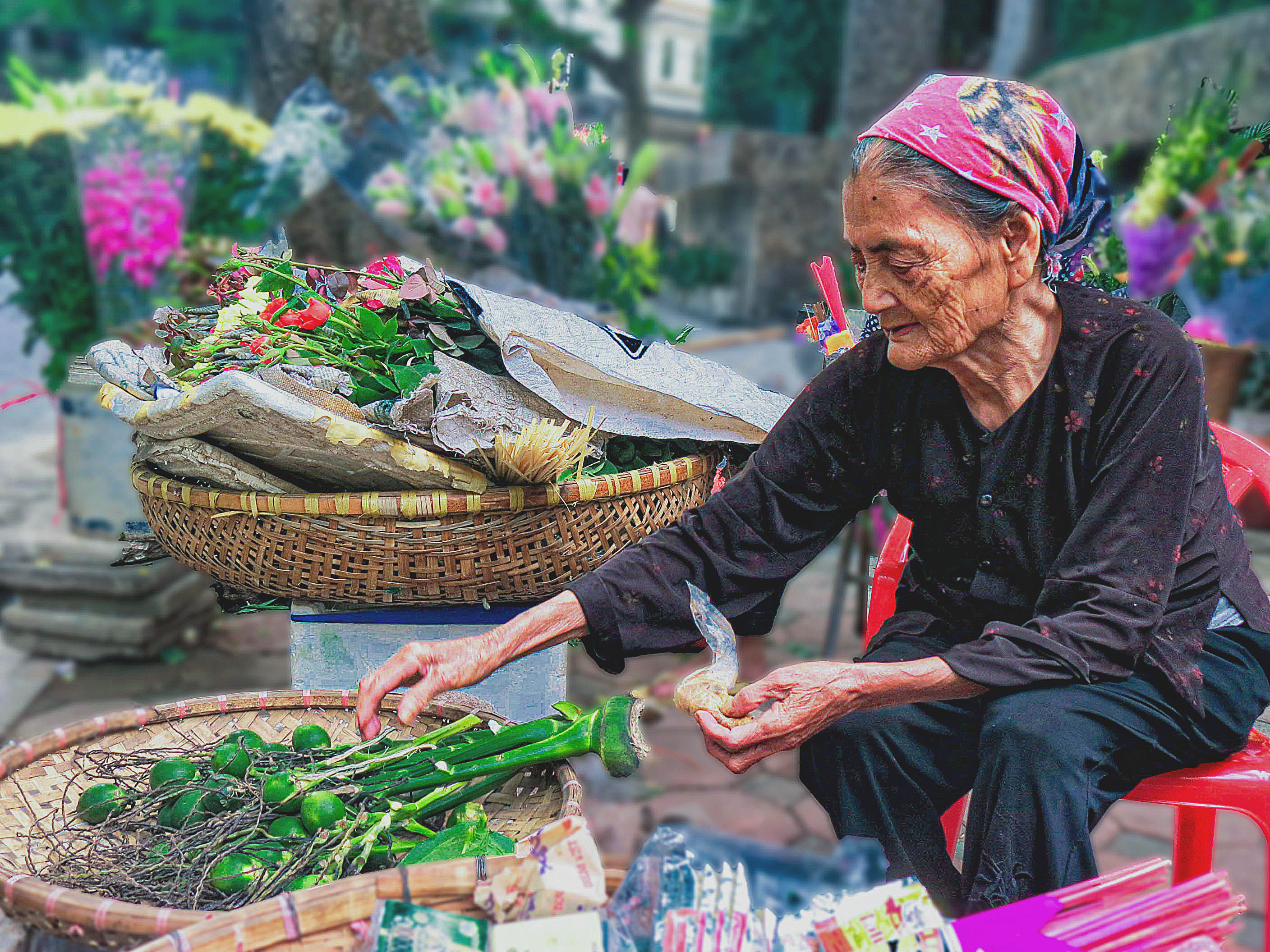Hanoi-2012 (2)